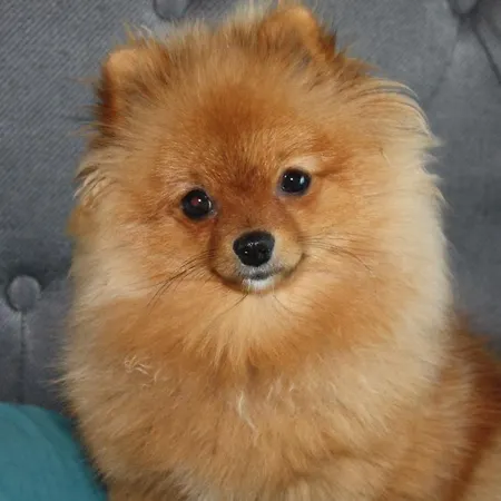 Apartmán Habitat Sea View